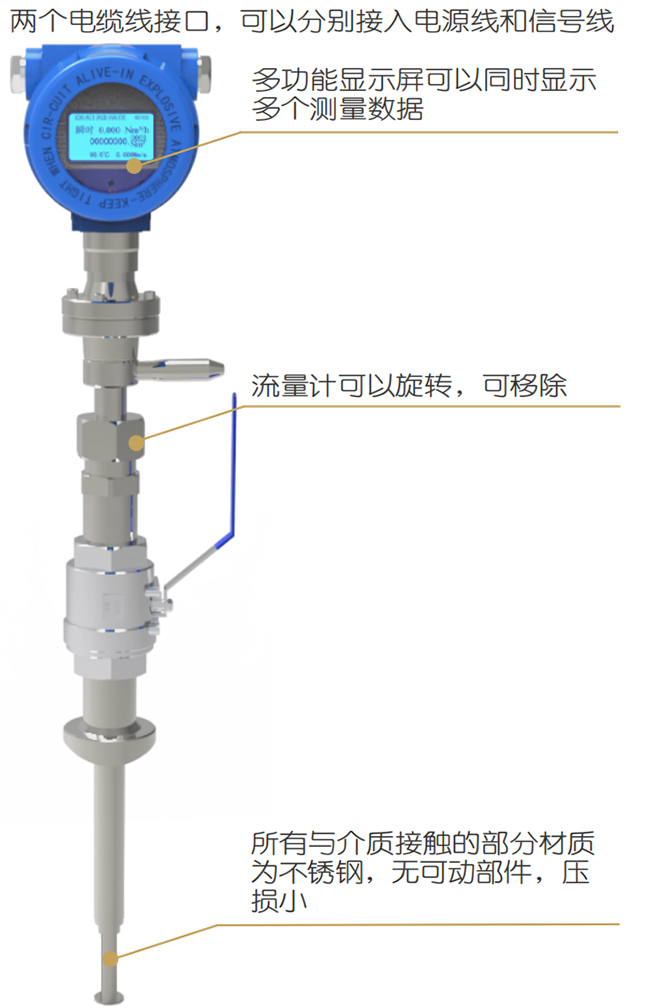 插入式熱式氣體質(zhì)量流量計結(jié)構(gòu)圖